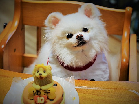 誕生日は大忙し_d0360206_13163679.jpg