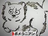 今日は何の日?_d0360206_13165152.jpg