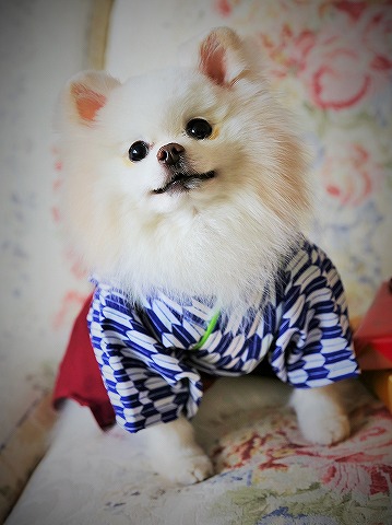 今日は何の日?_d0360206_13171473.jpg