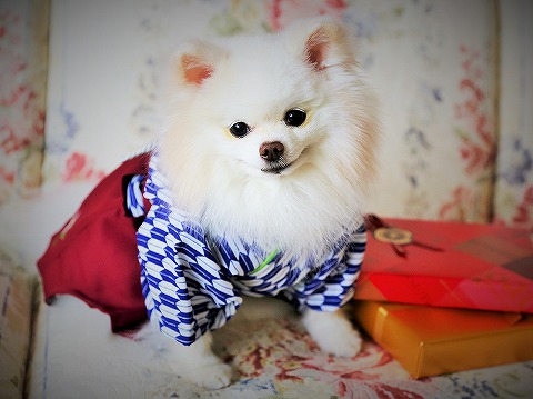 今日は何の日?_d0360206_13171474.jpg