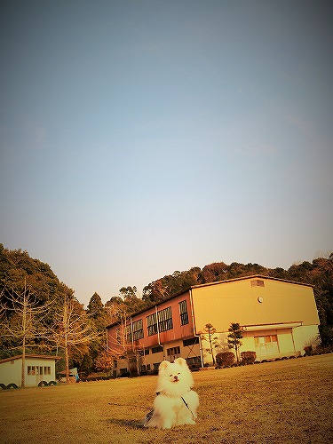 同居しちゃう?_d0360206_13175353.jpg