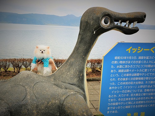 探しものはこれでした_d0360206_13194439.jpg
