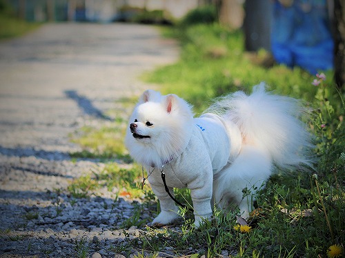 失くしちゃいけないモノ_d0360206_13201493.jpg