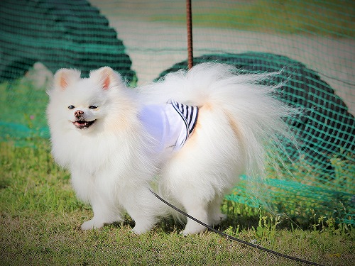 笑顔とパンティングは違うよ!!_d0360206_13205218.jpg