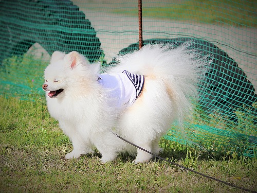 笑顔とパンティングは違うよ!!_d0360206_13205359.jpg