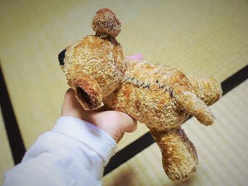 犬ブログで「手術」といえば_d0360206_13224636.jpg