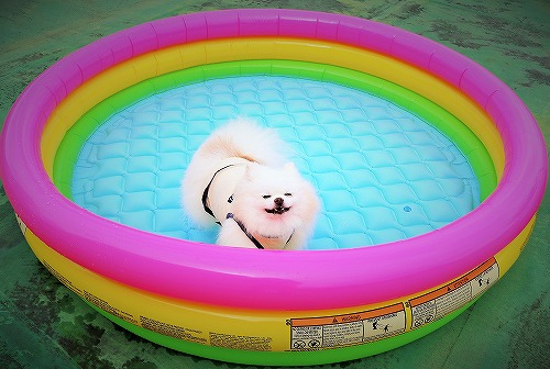10歳の夏が始まった!!_d0360206_13253186.jpg