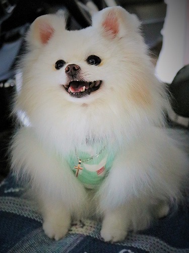 笑わないって約束して?_d0360206_13255490.jpg
