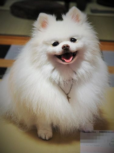 今日はお休みしなさい_d0360206_13274085.jpg