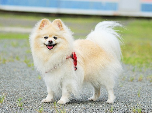 試練かもしれん_d0360206_13300829.jpg