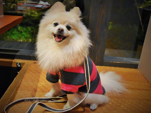 快気祝いも兼ねている_d0360206_13304286.jpg