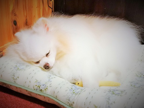 準備はできてる?_d0360206_13320319.jpg