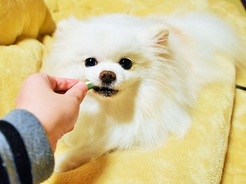 なんと、オドロキの10倍_d0360206_13353782.jpg