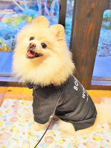 遅すぎることはない_d0360206_13354945.jpg