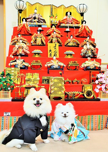 雛祭にはお洒落して_d0360206_13355782.jpg