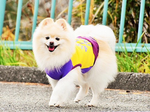 恐れを削ぐもの_d0360206_13365609.jpg