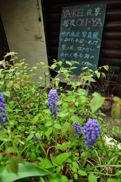 f0188408_12441603.jpg