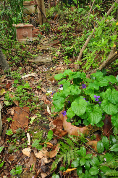 f0188408_12443740.jpg