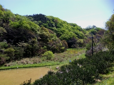 復活。_a0300410_13193710.jpg