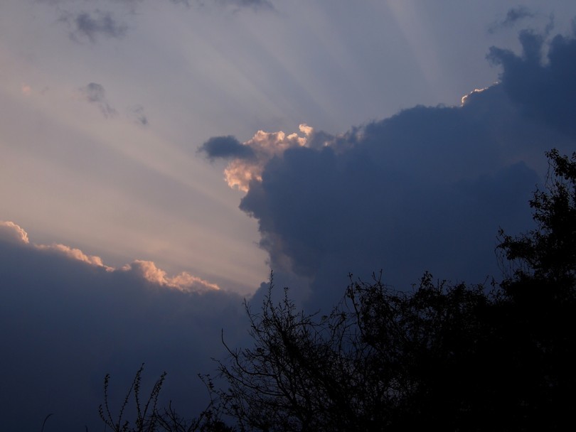 早朝散歩、突然の黒雲　2017/04/19_d0048812_14125788.jpg