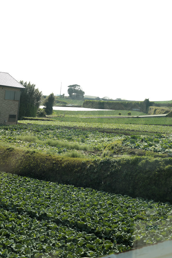 d0011713_07221832.jpg