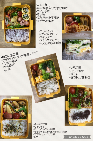 トレッキングパーカーとお弁当〜♪_a0300515_07035367.jpg