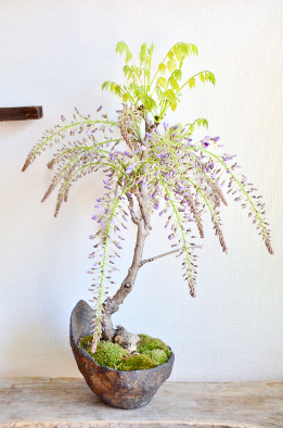 イベント出店のご案内_d0263815_14580062.png