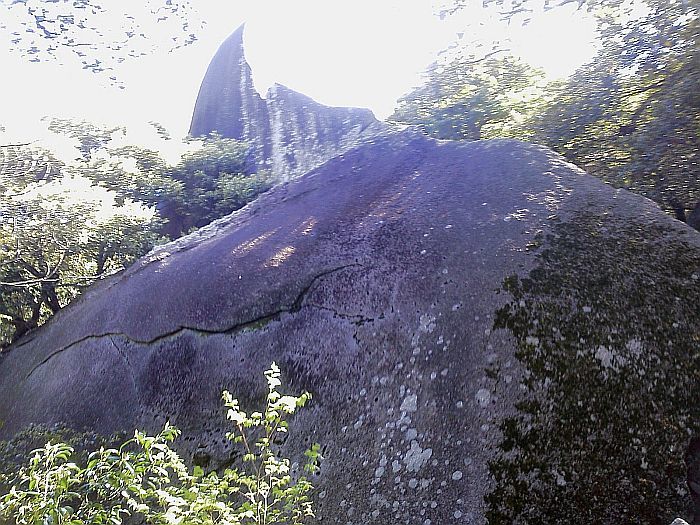 e0114015_23585124.jpg