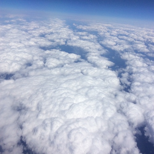 e0052716_1015254.jpg