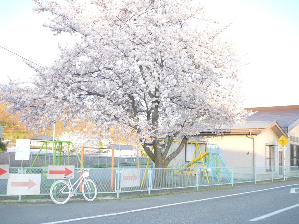 自転車と桜_d0152818_00270443.jpg