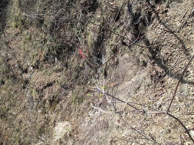 安中市　妙義山　禁断の星穴新道から登る星穴岳　　　　　　Mount Myōgi in Annaka, Gunma_f0308721_1957897.jpg