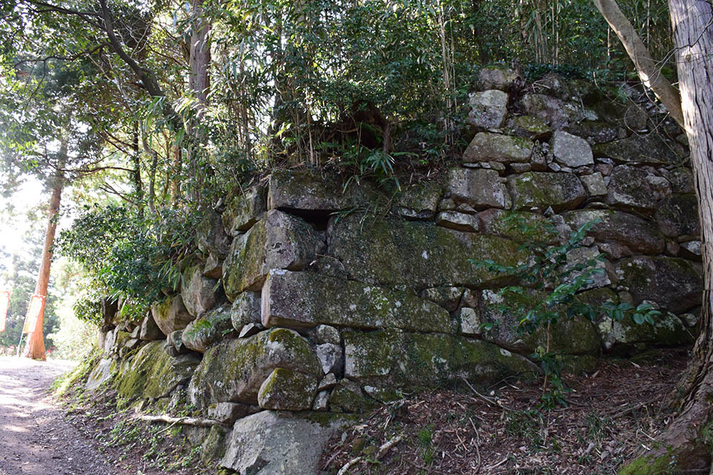 太平記を歩く。　その４６　「観音正寺～観音寺城跡（前編）」　滋賀県近江八幡市_e0158128_19302315.jpg