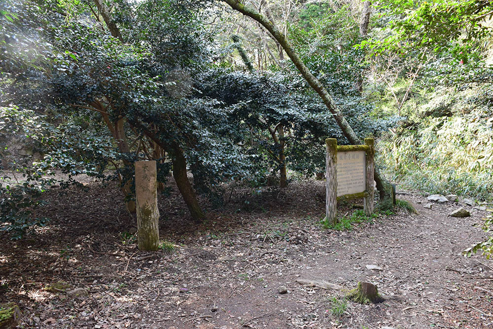 太平記を歩く。　その４７　「観音正寺～観音寺城跡（後編）」　滋賀県近江八幡市_e0158128_19553375.jpg