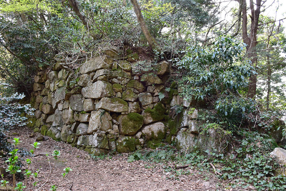太平記を歩く。 その47 「観音正寺~観音寺城跡(後編)」 滋賀県近江八幡市_e0158128_19581086.jpg