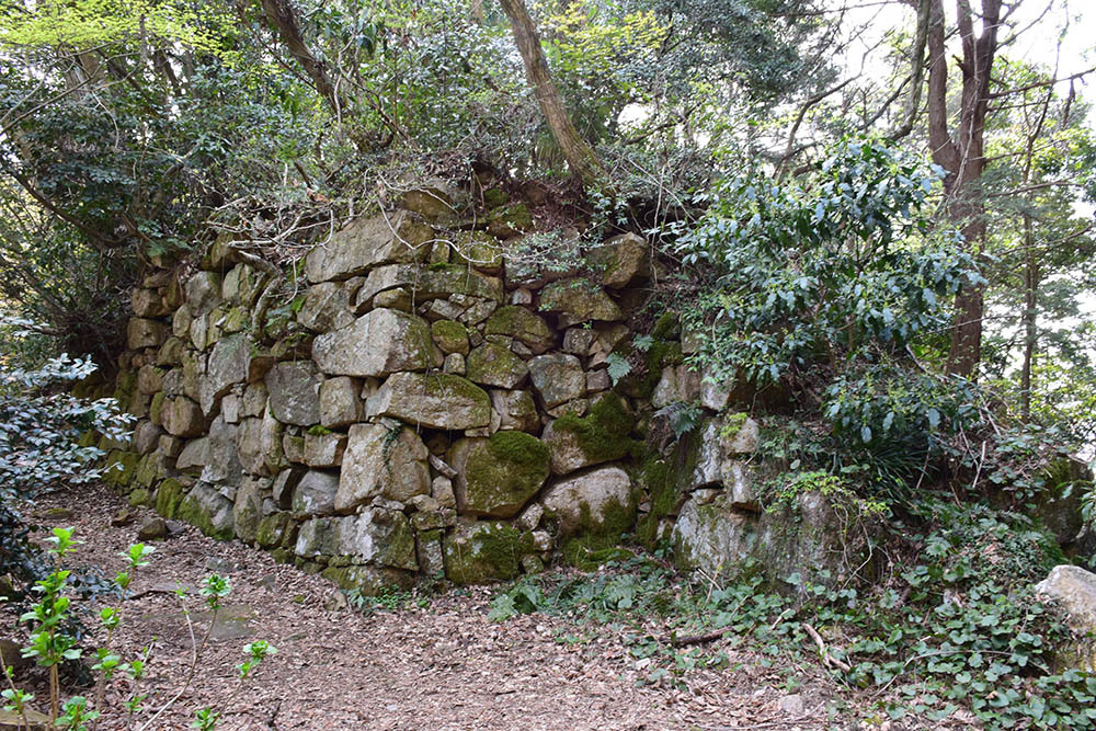 太平記を歩く。　その４７　「観音正寺～観音寺城跡（後編）」　滋賀県近江八幡市_e0158128_19581086.jpg