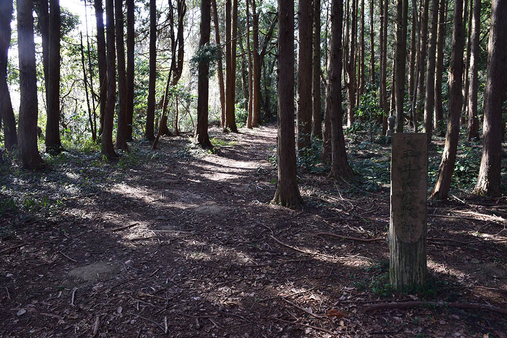 太平記を歩く。　その４７　「観音正寺～観音寺城跡（後編）」　滋賀県近江八幡市_e0158128_20001873.jpg