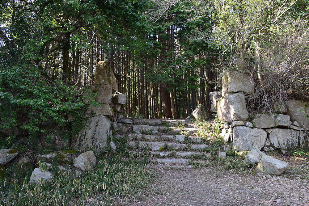 太平記を歩く。 その47 「観音正寺~観音寺城跡(後編)」 滋賀県近江八幡市_e0158128_20055142.jpg