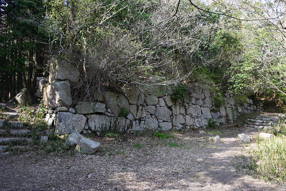 太平記を歩く。 その47 「観音正寺~観音寺城跡(後編)」 滋賀県近江八幡市_e0158128_20055817.jpg