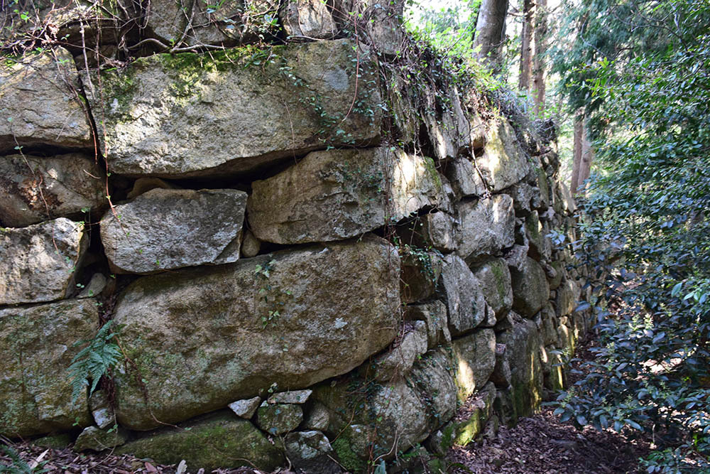 太平記を歩く。 その47 「観音正寺~観音寺城跡(後編)」 滋賀県近江八幡市_e0158128_20082278.jpg