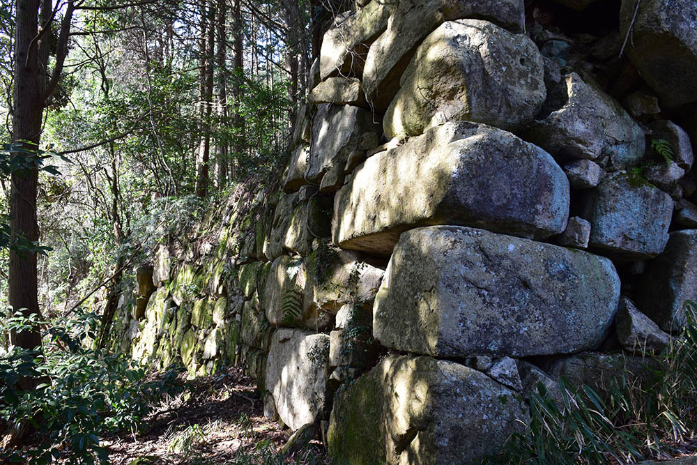 太平記を歩く。 その47 「観音正寺~観音寺城跡(後編)」 滋賀県近江八幡市_e0158128_20082839.jpg