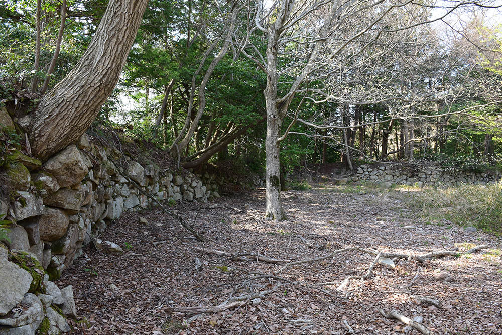 太平記を歩く。 その47 「観音正寺~観音寺城跡(後編)」 滋賀県近江八幡市_e0158128_20470479.jpg