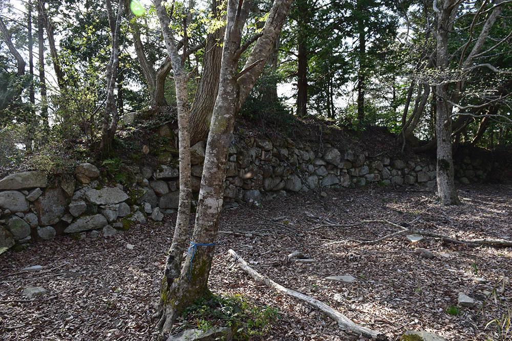 太平記を歩く。 その47 「観音正寺~観音寺城跡(後編)」 滋賀県近江八幡市_e0158128_20480964.jpg