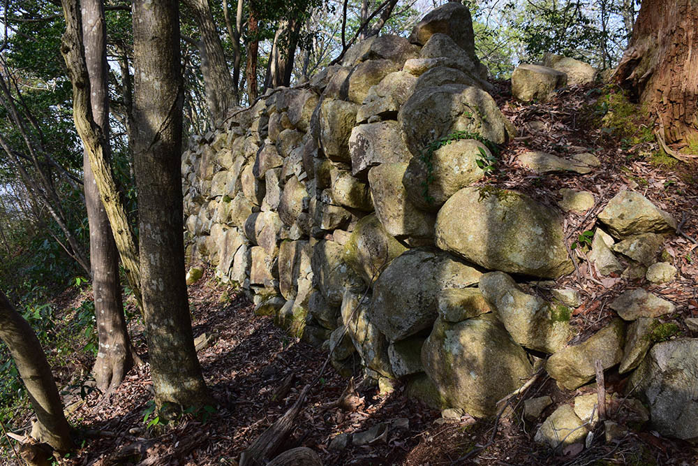 太平記を歩く。　その４７　「観音正寺～観音寺城跡（後編）」　滋賀県近江八幡市_e0158128_20552720.jpg