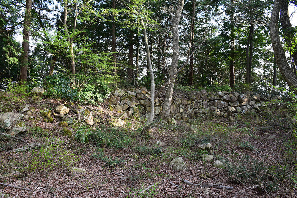 太平記を歩く。　その４７　「観音正寺～観音寺城跡（後編）」　滋賀県近江八幡市_e0158128_20553100.jpg