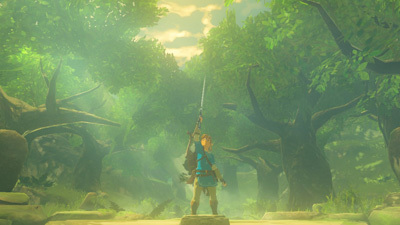 WiiU版「ゼルダの伝説 ブレス オブ ザ ワイルド」雑記：お金貯まったから家購入！_d0087129_19315273.jpg