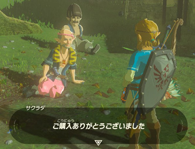 WiiU版「ゼルダの伝説 ブレス オブ ザ ワイルド」雑記：お金貯まったから家購入！_d0087129_19320472.jpg