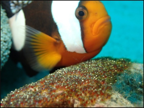 4月19日あっという間に天気も海も回復!!_c0070933_23082257.jpg