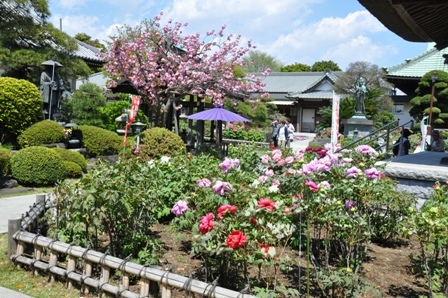 f0232136_14515237.jpg