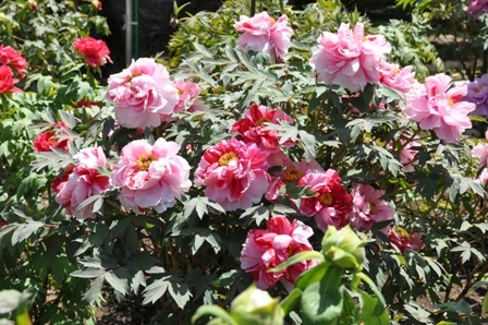 f0232136_14521816.jpg