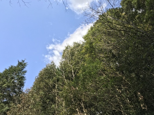f0090137_20161706.jpg